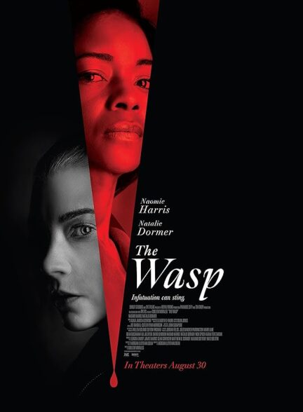 (2024) The Wasp | زنبور