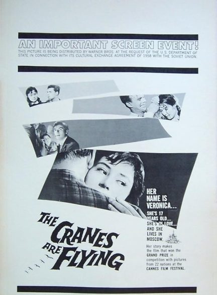 (1957) The Cranes Are Flying | درناها پرواز می‌کنند